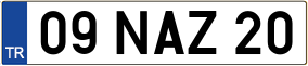 Trailer License Plate